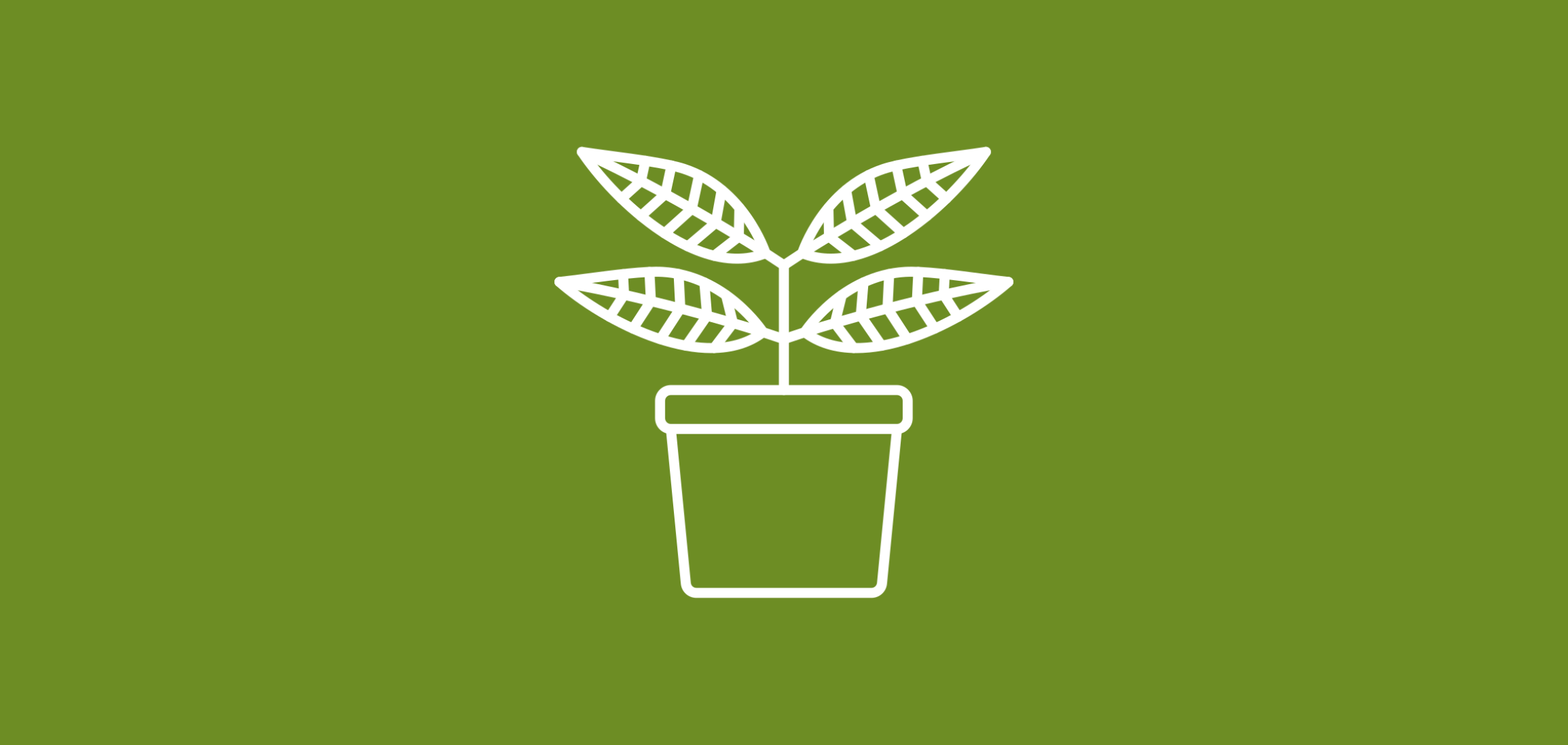 Home & Garden