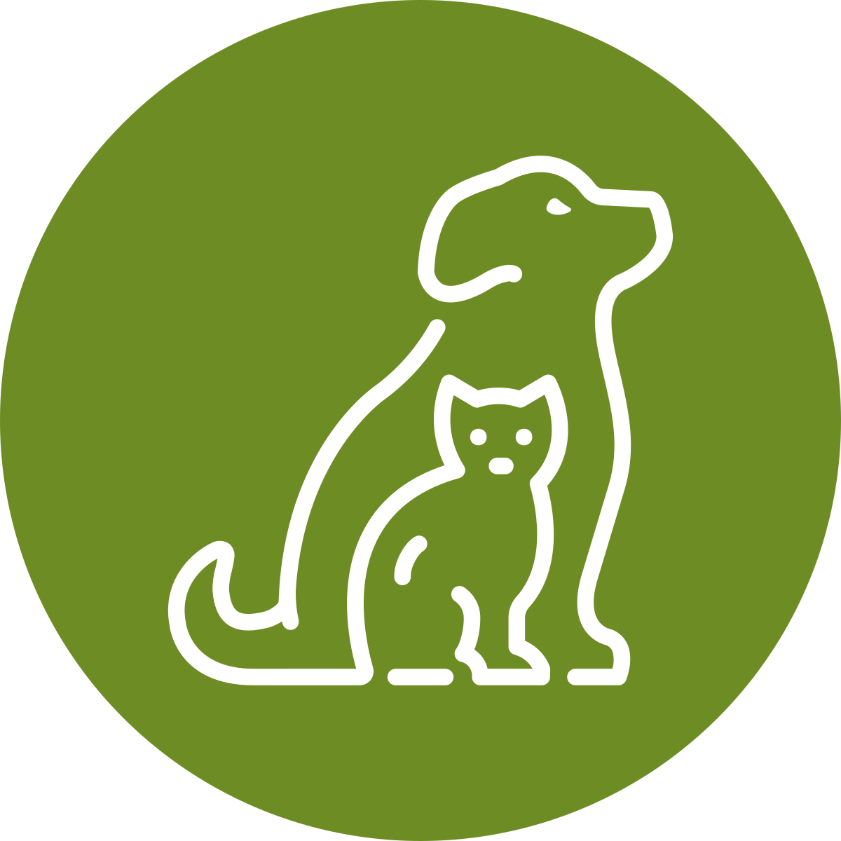 Pets & Animals